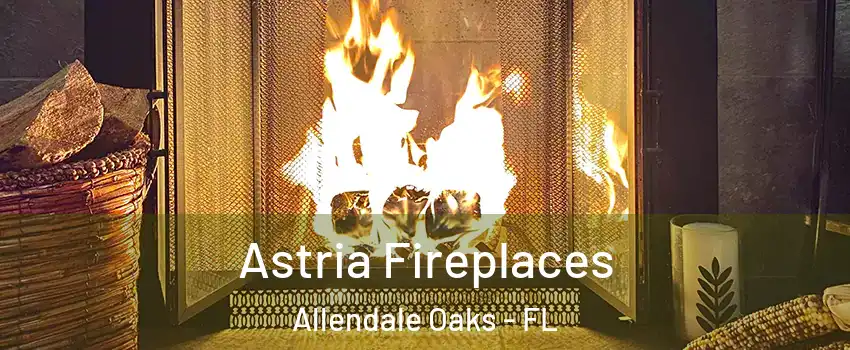 Astria Fireplaces Allendale Oaks - FL