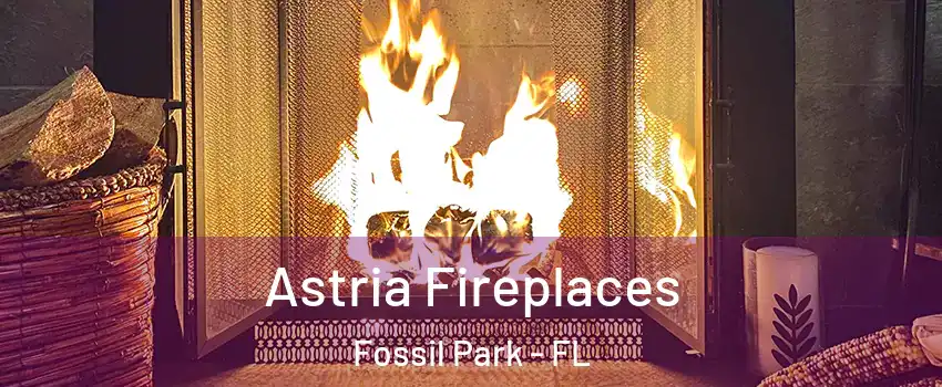 Astria Fireplaces Fossil Park - FL