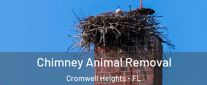 Chimney Animal Removal Cromwell Heights - FL