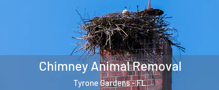 Chimney Animal Removal Tyrone Gardens - FL