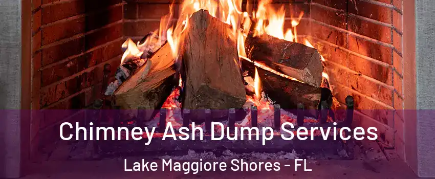 Chimney Ash Dump Services Lake Maggiore Shores - FL