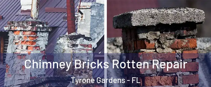 Chimney Bricks Rotten Repair Tyrone Gardens - FL