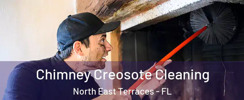 Chimney Creosote Cleaning North East Terraces - FL