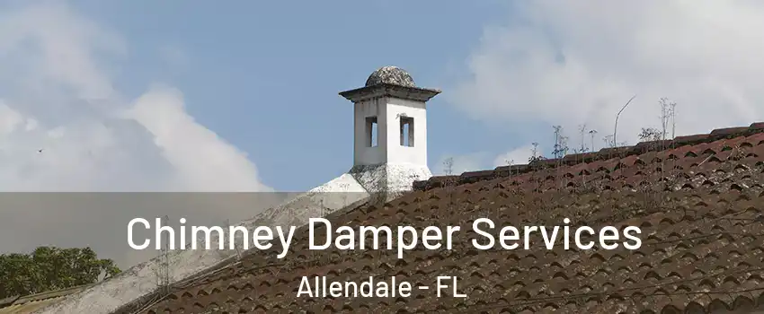 Chimney Damper Services Allendale - FL