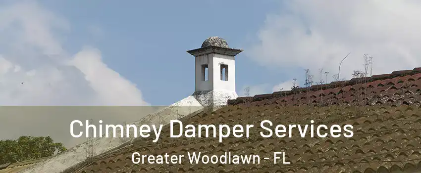 Chimney Damper Services Greater Woodlawn - FL