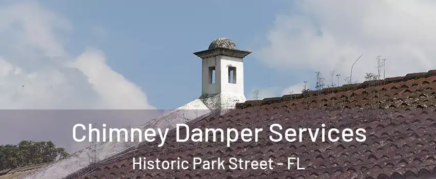 Chimney Damper Services Historic Park Street - FL