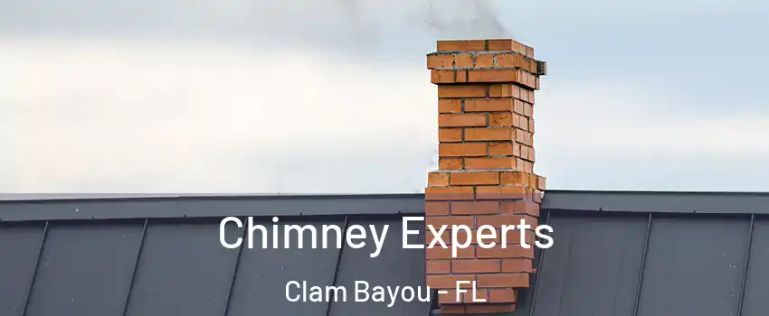 Chimney Experts Clam Bayou - FL