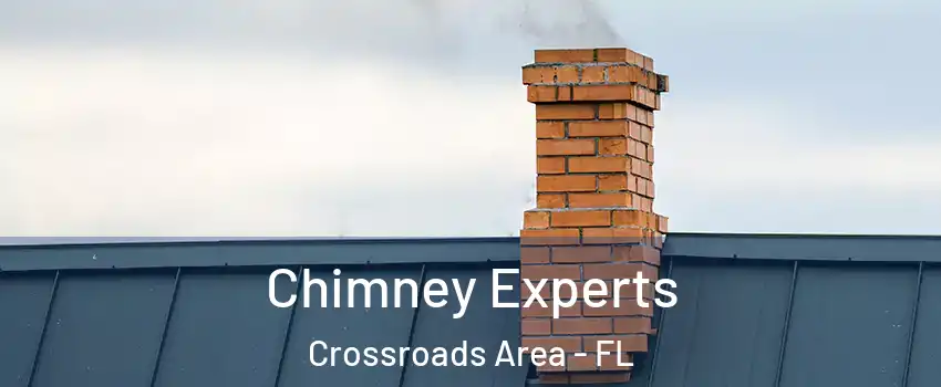 Chimney Experts Crossroads Area - FL