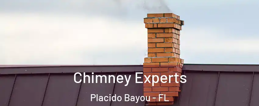 Chimney Experts Placido Bayou - FL