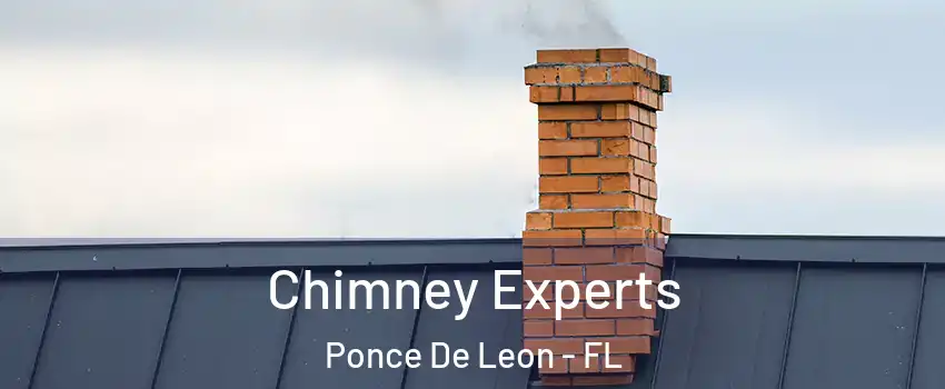 Chimney Experts Ponce De Leon - FL