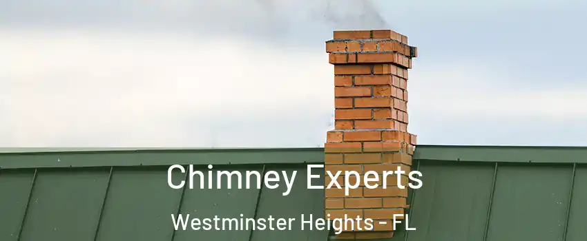 Chimney Experts Westminster Heights - FL