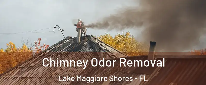 Chimney Odor Removal Lake Maggiore Shores - FL