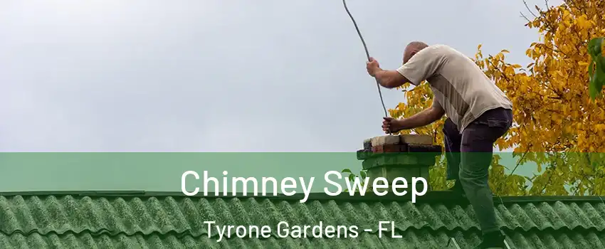 Chimney Sweep Tyrone Gardens - FL