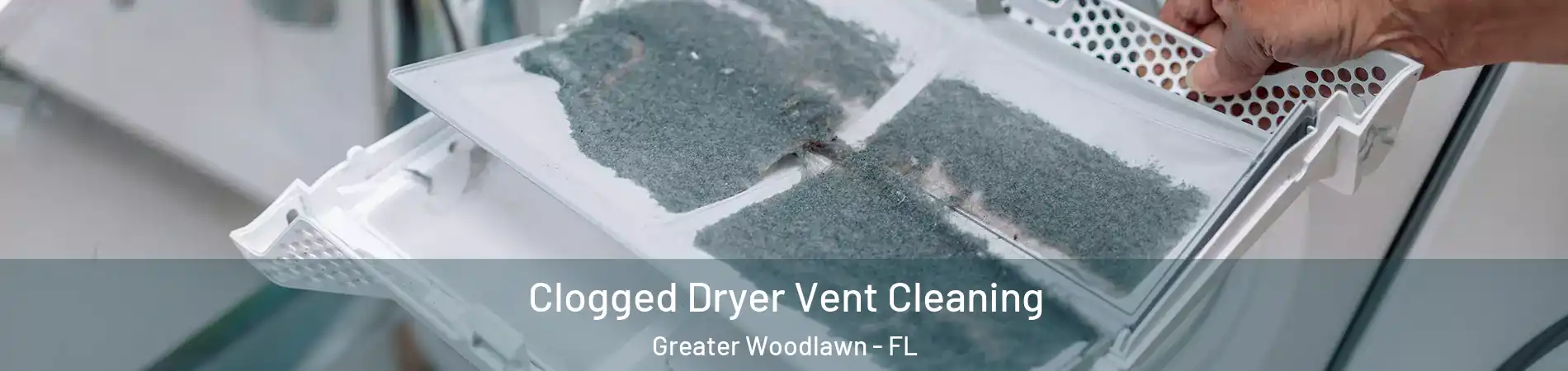 Clogged Dryer Vent Cleaning Greater Woodlawn - FL