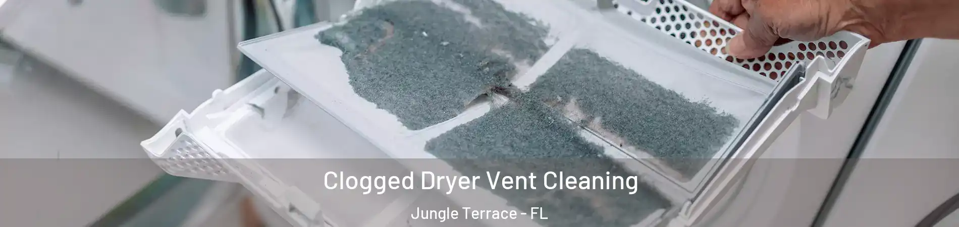 Clogged Dryer Vent Cleaning Jungle Terrace - FL