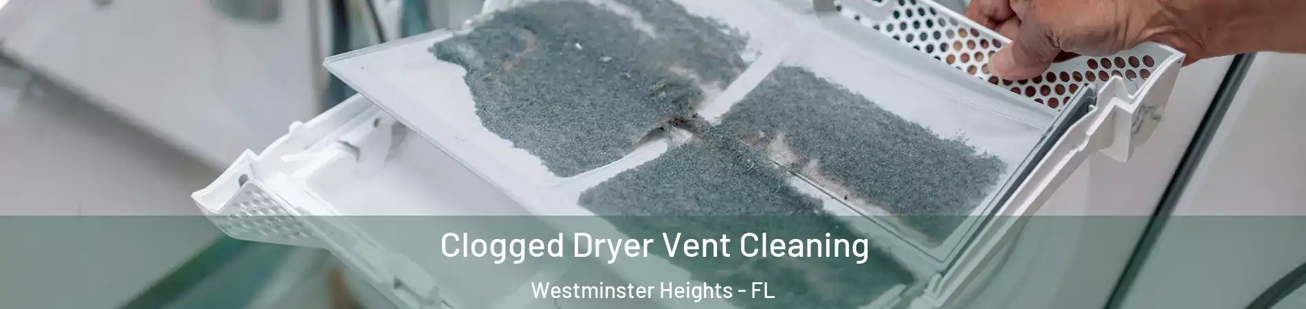 Clogged Dryer Vent Cleaning Westminster Heights - FL