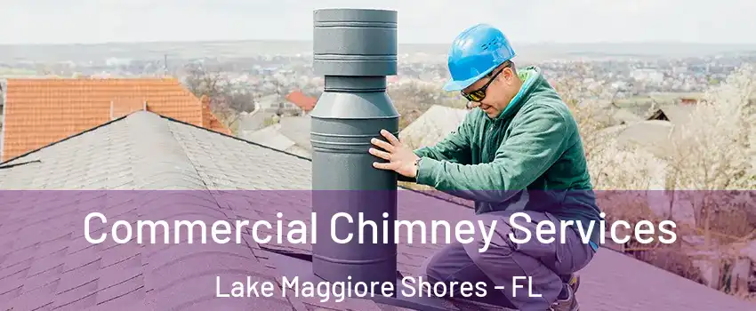 Commercial Chimney Services Lake Maggiore Shores - FL