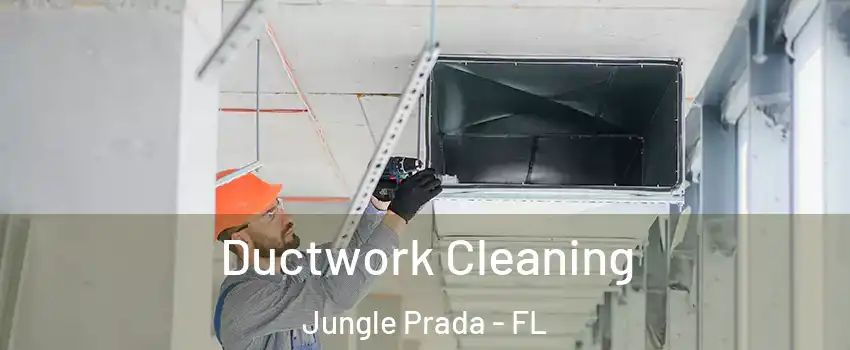 Ductwork Cleaning Jungle Prada - FL