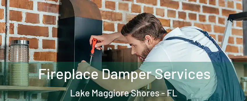 Fireplace Damper Services Lake Maggiore Shores - FL