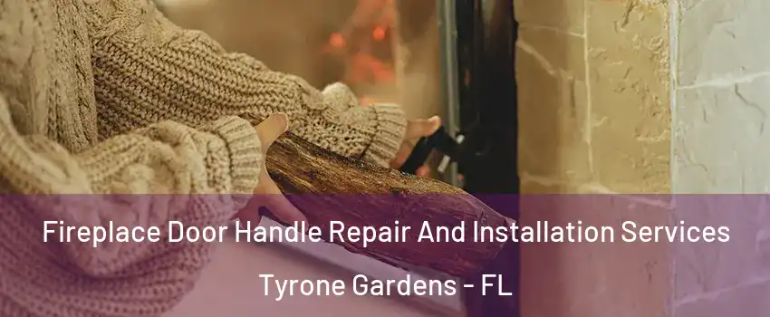 Fireplace Door Handle Repair And Installation Services Tyrone Gardens - FL