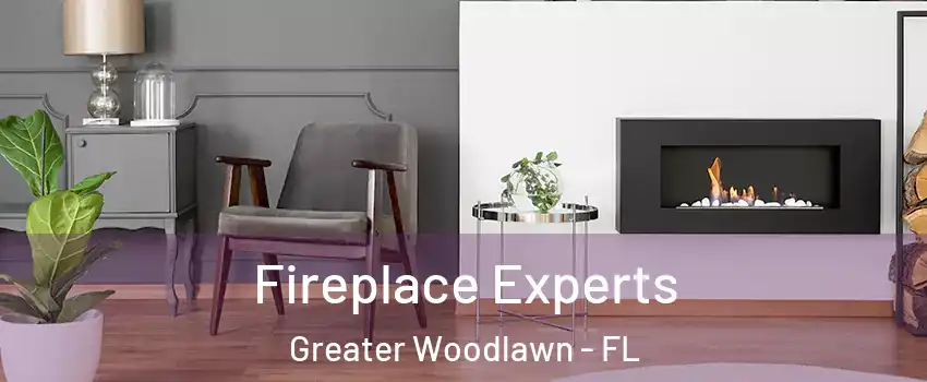 Fireplace Experts Greater Woodlawn - FL