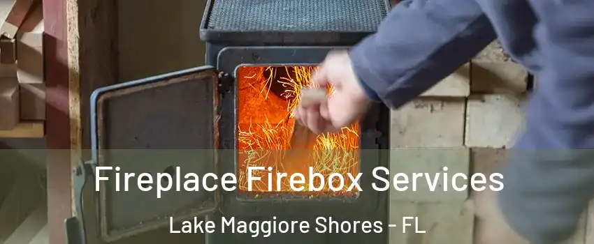 Fireplace Firebox Services Lake Maggiore Shores - FL