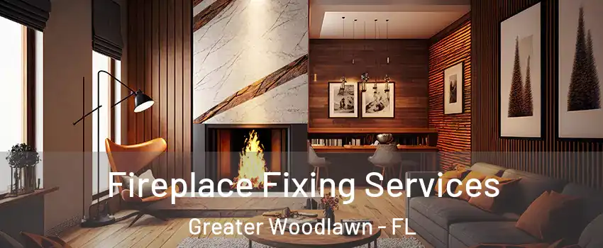 Fireplace Fixing Services Greater Woodlawn - FL