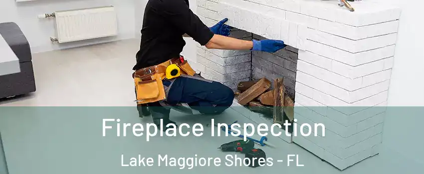 Fireplace Inspection Lake Maggiore Shores - FL