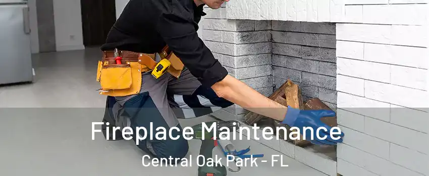 Fireplace Maintenance Central Oak Park - FL