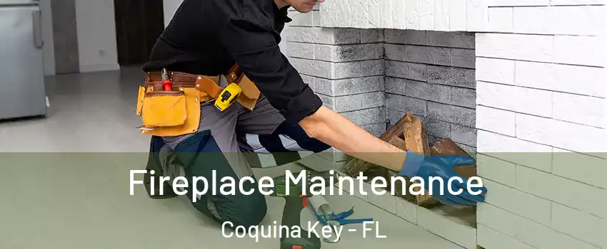 Fireplace Maintenance Coquina Key - FL