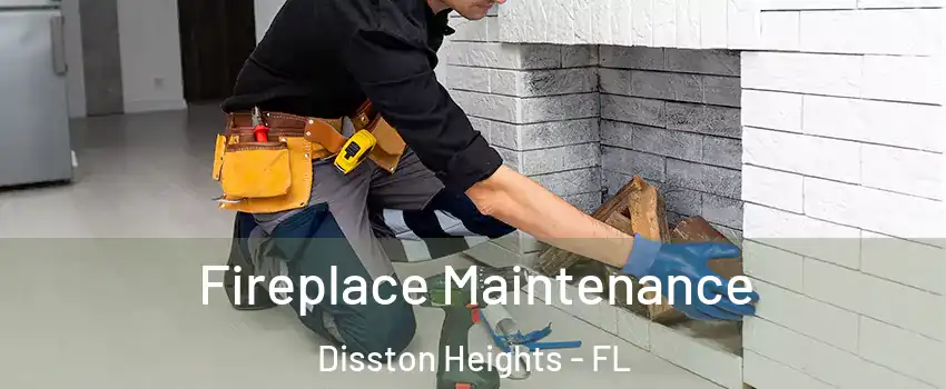 Fireplace Maintenance Disston Heights - FL