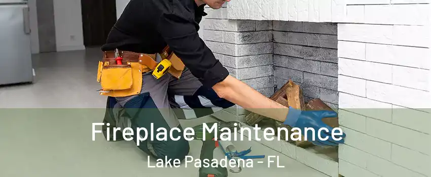 Fireplace Maintenance Lake Pasadena - FL