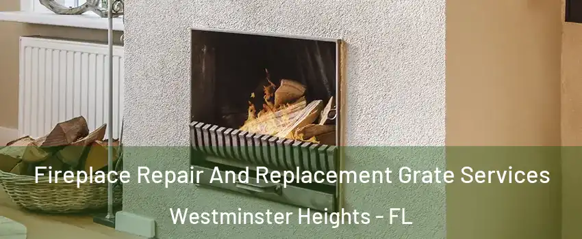 Fireplace Repair And Replacement Grate Services Westminster Heights - FL