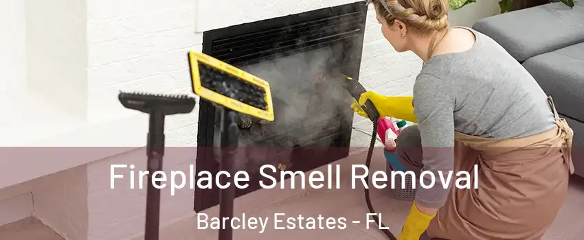 Fireplace Smell Removal Barcley Estates - FL