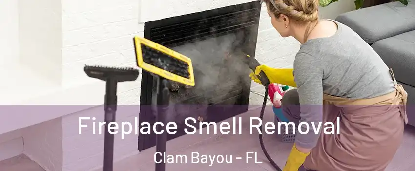 Fireplace Smell Removal Clam Bayou - FL