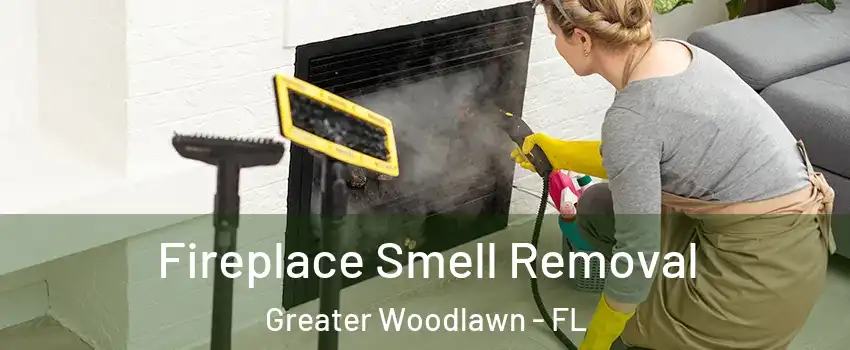 Fireplace Smell Removal Greater Woodlawn - FL