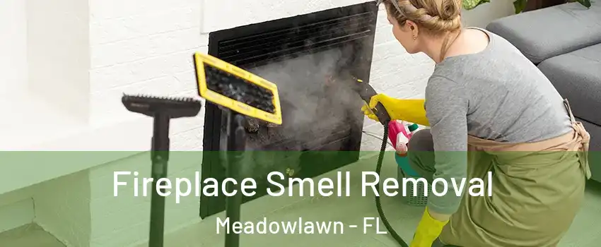 Fireplace Smell Removal Meadowlawn - FL