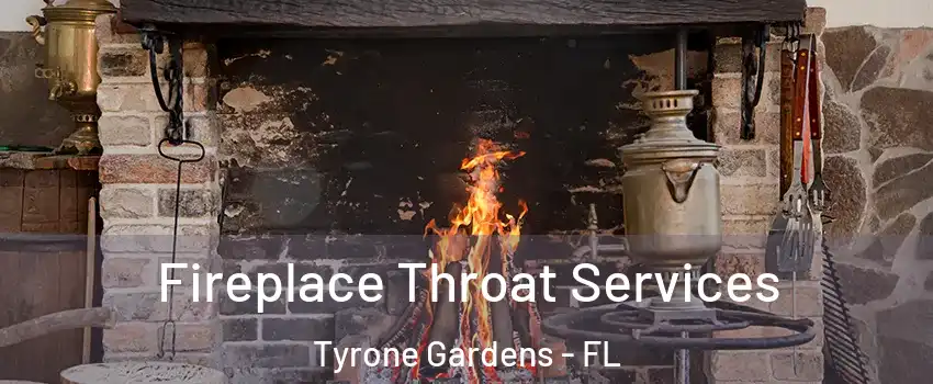 Fireplace Throat Services Tyrone Gardens - FL