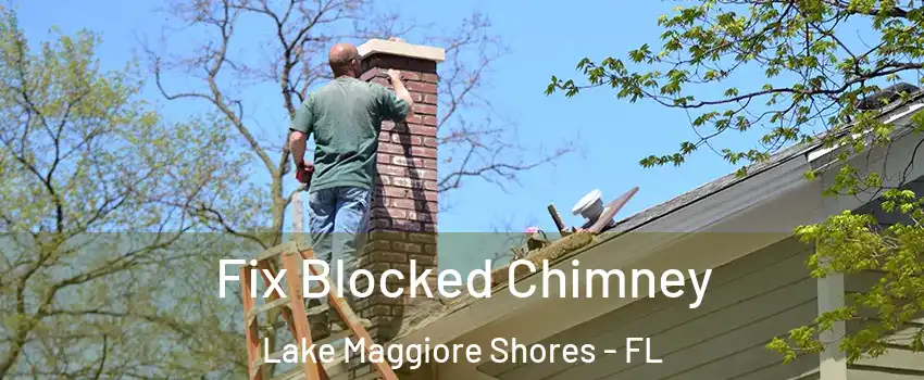 Fix Blocked Chimney Lake Maggiore Shores - FL