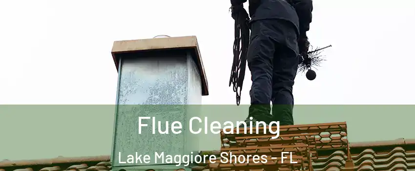 Flue Cleaning Lake Maggiore Shores - FL