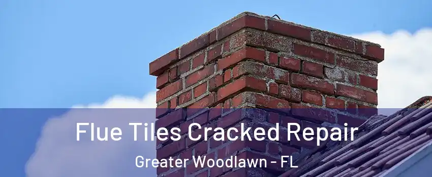 Flue Tiles Cracked Repair Greater Woodlawn - FL