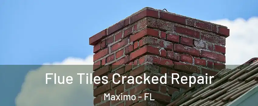 Flue Tiles Cracked Repair Maximo - FL