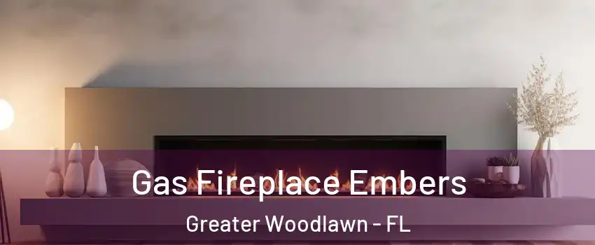 Gas Fireplace Embers Greater Woodlawn - FL