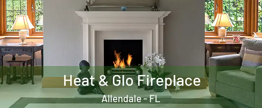 Heat & Glo Fireplace Allendale - FL