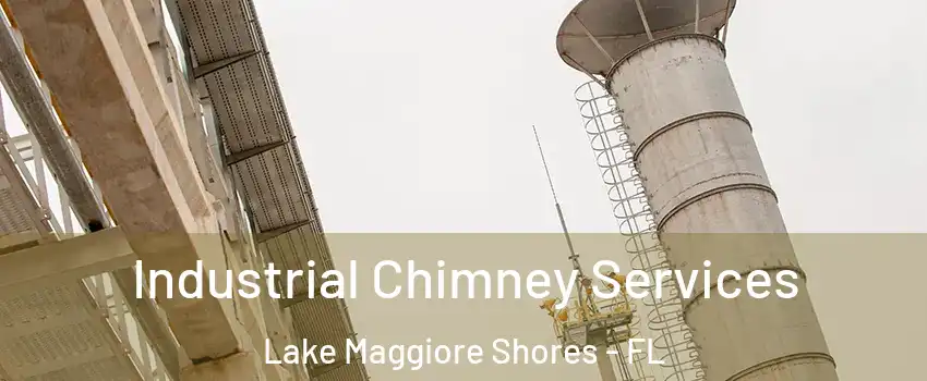 Industrial Chimney Services Lake Maggiore Shores - FL