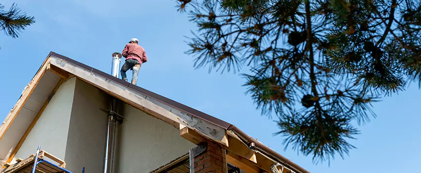 Birds Removal Contractors from Chimney in Tyrone Gardens, FL