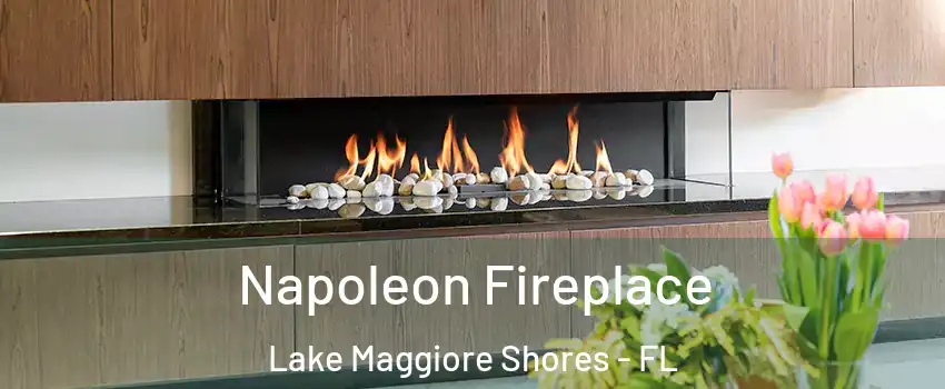 Napoleon Fireplace Lake Maggiore Shores - FL