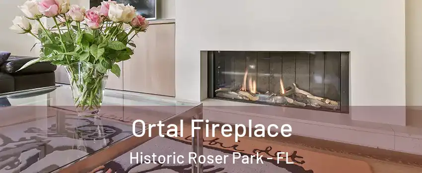 Ortal Fireplace Historic Roser Park - FL