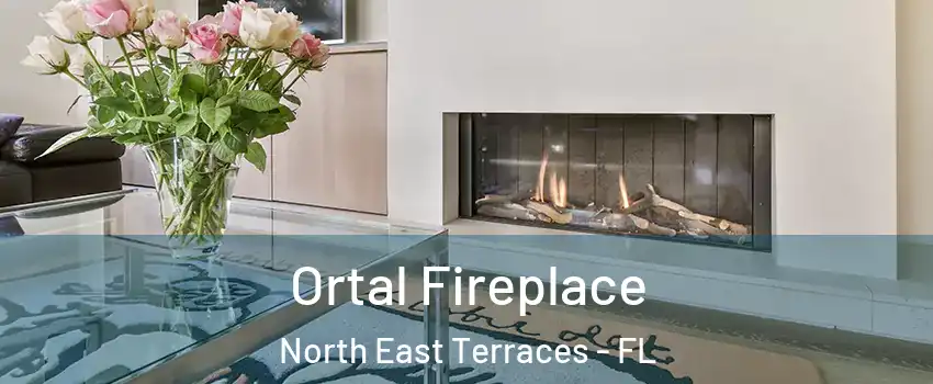 Ortal Fireplace North East Terraces - FL