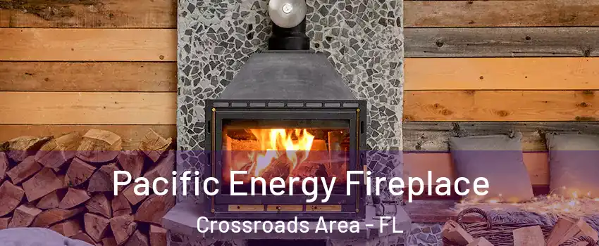 Pacific Energy Fireplace Crossroads Area - FL